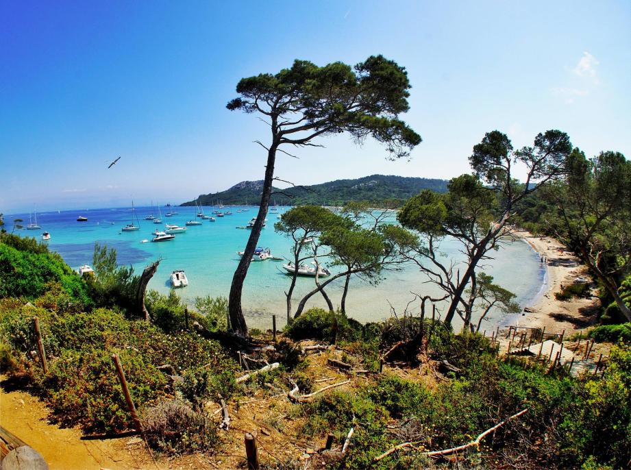 La plage de Notre-Dame à Porquerolles. 