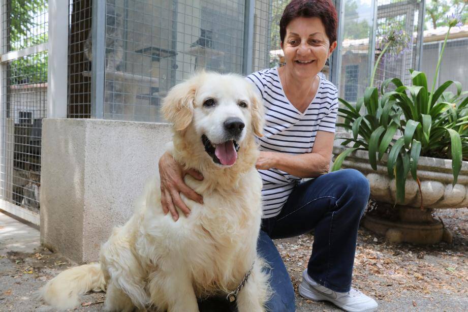 Le Refuge Pour Animaux Abandonnes D Antibes Est A La Recherche De Grands Cœurs Nice Matin