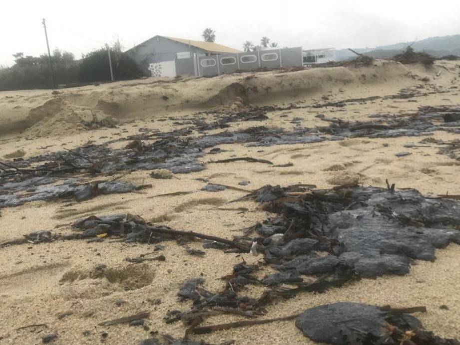 Des boulettes de pétrole ont été retrouvées ce mardi matin sur des plages du Var.