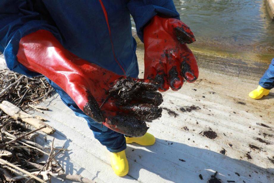 Une pollution aux hydrocarbures a atteint eaux et rivages hyérois.