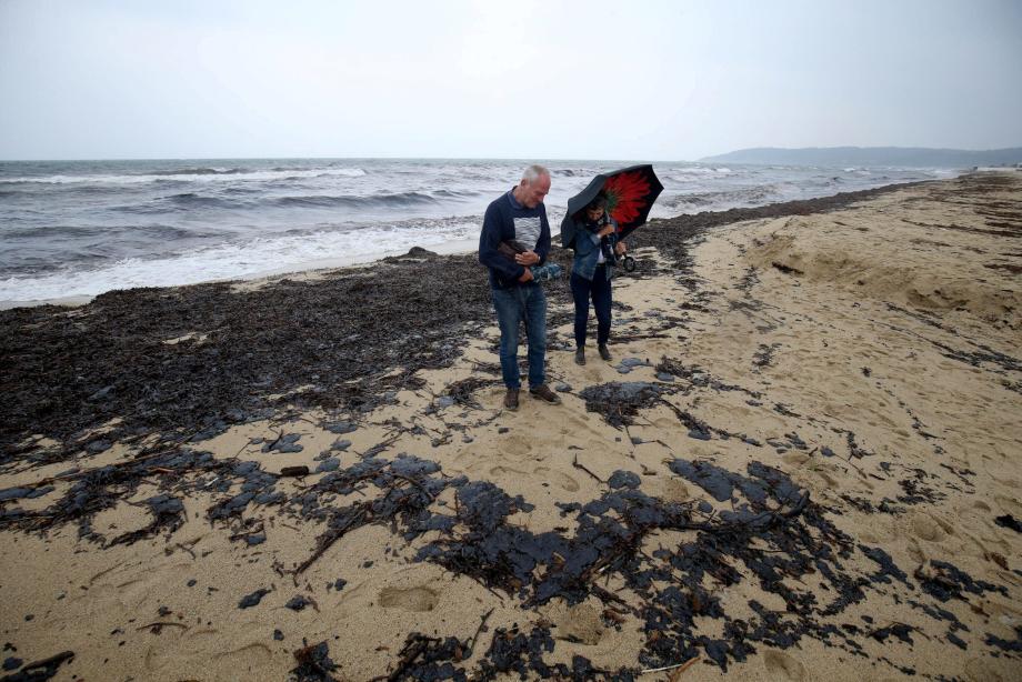 Pollution sur les plages du Golfe de Saint-Tropez. 