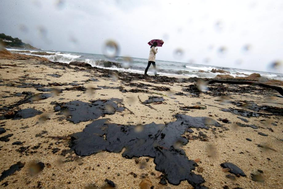 Pollution au mazout sur les plages de Pampelonne.