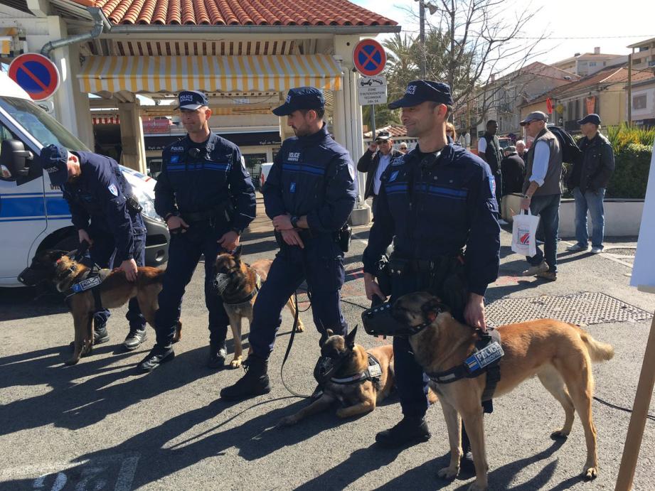 La police municipale de Cannes possède la plus grande brigade canine de