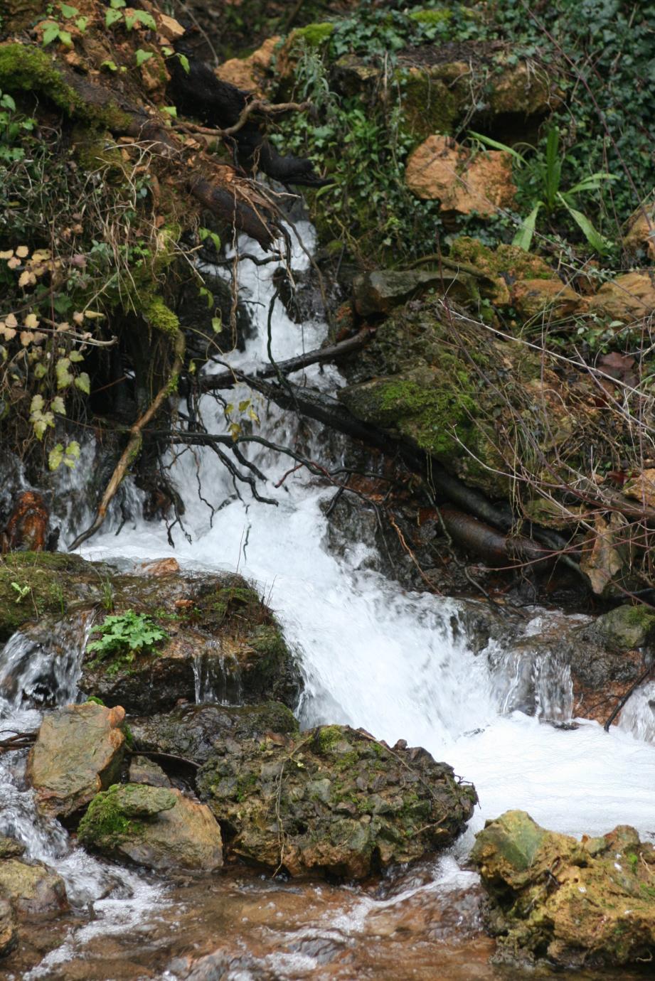 La source de l'Argens est située sur le territoire communal.