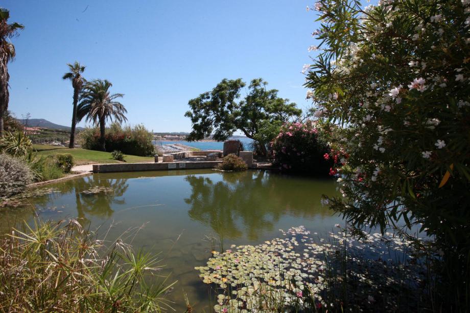 A Six-Fours-les-Plages, Le Parc De La Méditerranée Va être Réaménagé ...