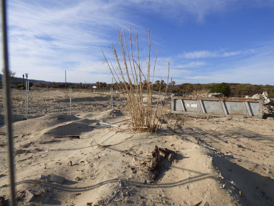 La justice invalide encore l attribution d un lot  de plage  