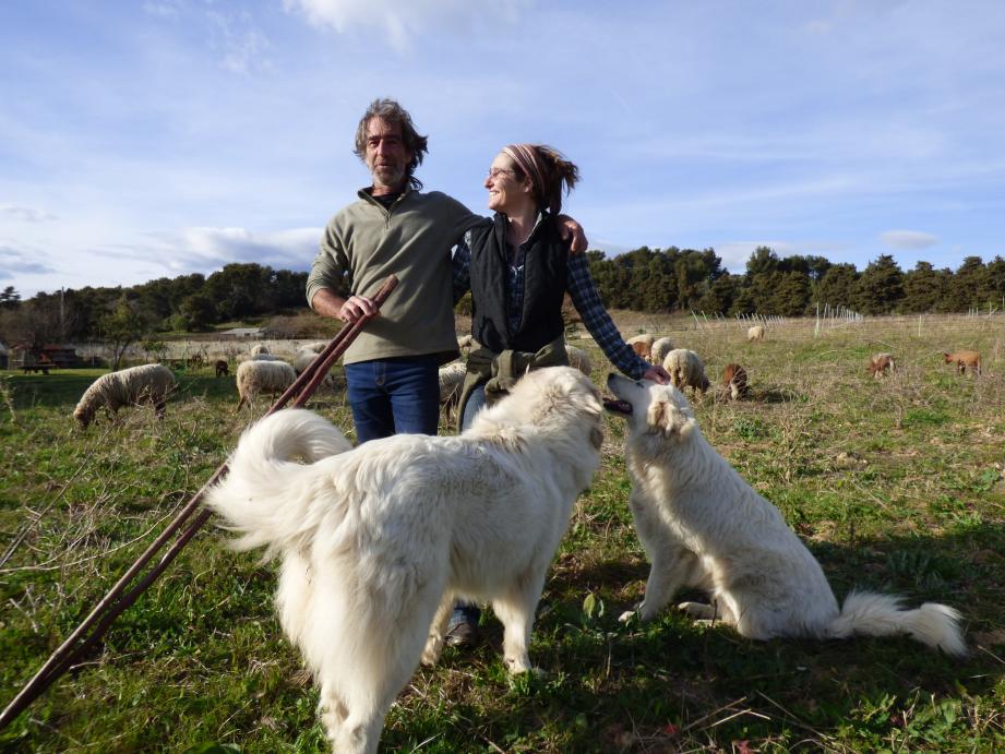 Werner et Christele Plompen comptent sur Patouche et Titoune pour garder un œil attentif sur les bêtes.