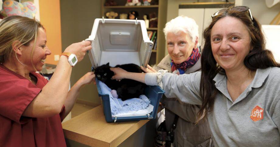 Jocelyne (au milieu) a pu récupérer Camélia, sa petite chatte d’un an et demi perdue en août dernier, grâce aux bénévoles de la SPA du Cannet. 