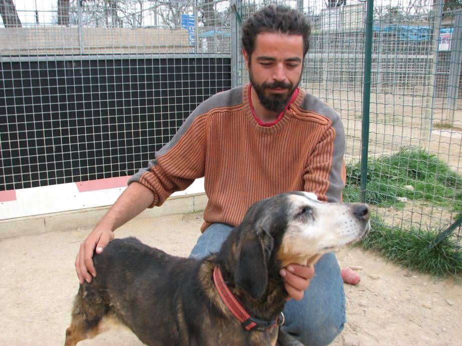 Le Refuge Animalier Ouvre Ses Portes Ce Week End Var Matin