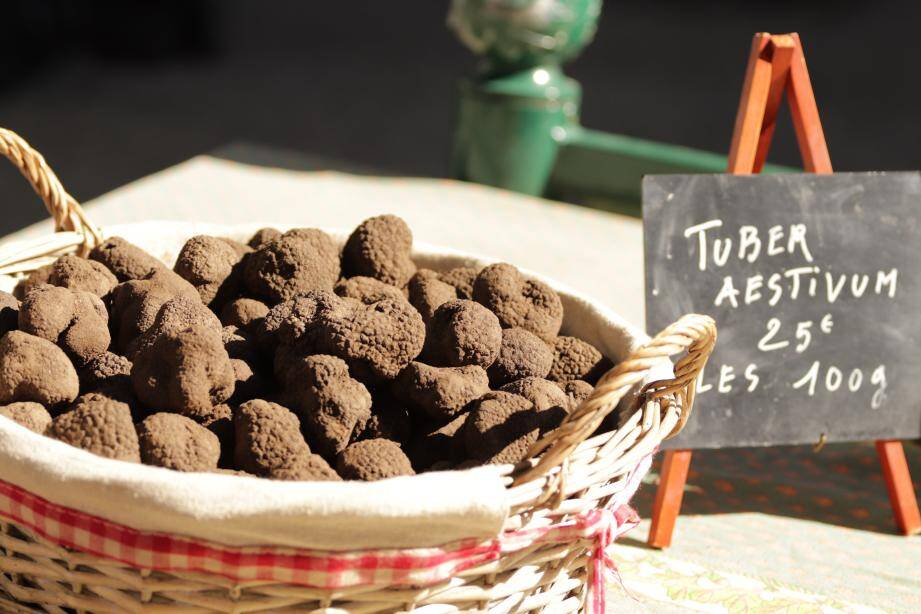 Le Marche De La Truffe D Ete D Aups Est Ouvert Et Les Specialistes Prevoient Une Saison Exceptionnelle Var Matin