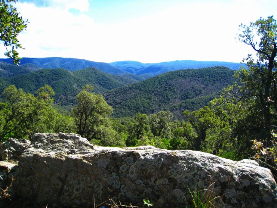 Le massif des Maures abrite la plus grande forêt naturelle de France.