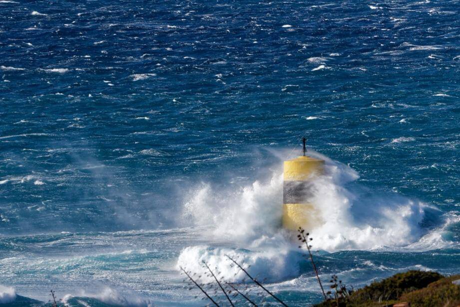 Cardinale de la Pointe de la Cride à Sanary-sur-Mer.