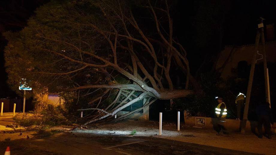 Un arbre s’abat sur la chaussée à Saint-Cyr