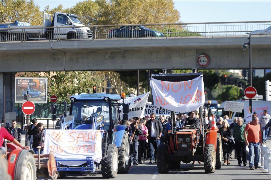 Défilé de la manifestation des agriculteurs des Alpes-Maritimes depuis le parking des M.I.N. de Nice aux grilles de la préfecture.