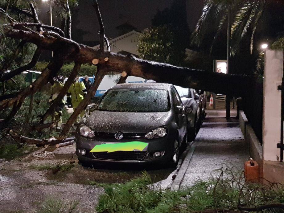 Il était environ 22 h ce jeudi soir, quand un arbre s'est déraciné sur l'Avenue Emile Dechame, au niveau du Crédit Agricole, à Saint-Laurent-du-Var.
