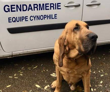 Le major Bruno et son chien Jupiter sont en alerte permanente