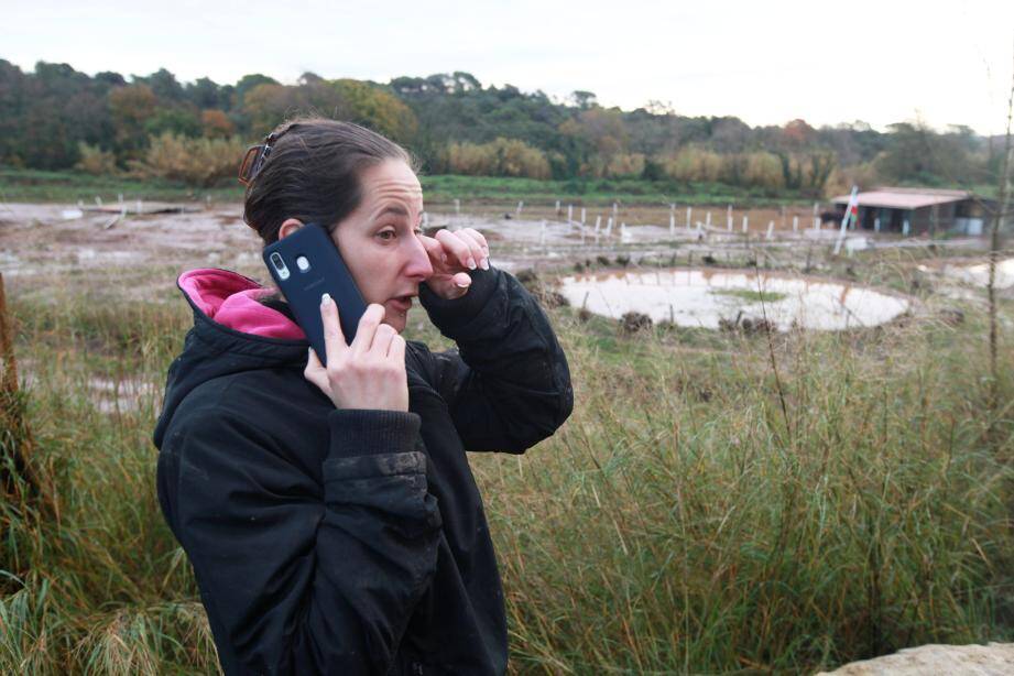 Delphine Orval a perdu l'homme qu'elle aimait. Avant de disparaître dans les flots, il a réussi à sauver la majorité des chevaux, leur passion commune.