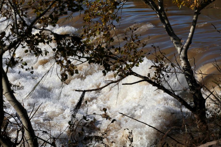 La digue près du barrage anti-sel sur l'Argens du côté de Puget.