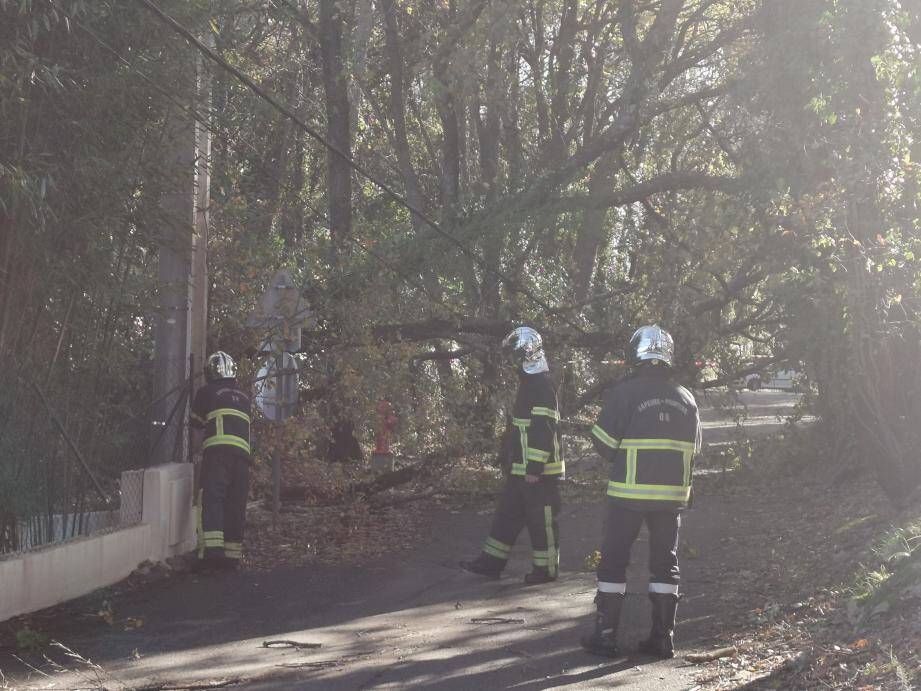 Un arbre a emporté des fils électriques chemin du Taméyé ce dimanche matin à Opio. Deux lignes à terre : Enedis et éclairage public.