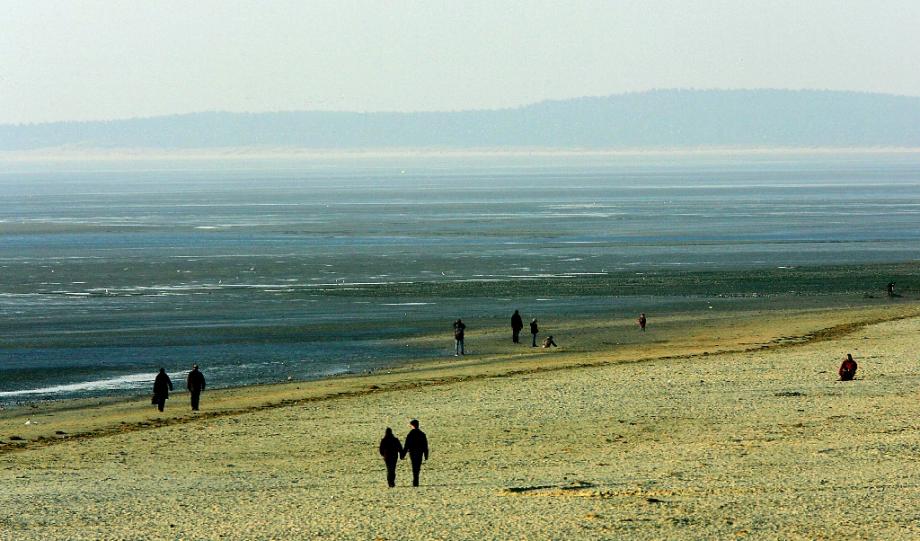 La plage du Crotoy en Baie de Somme 