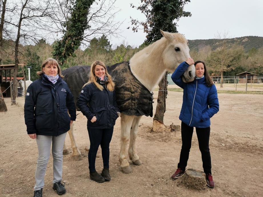 Une touchante séparation, mercredi matin, entre Delphine et son cheval Pharaon.