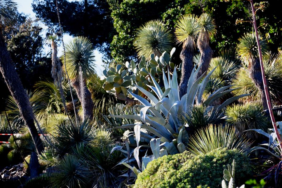 Les Jardins Du Rayol