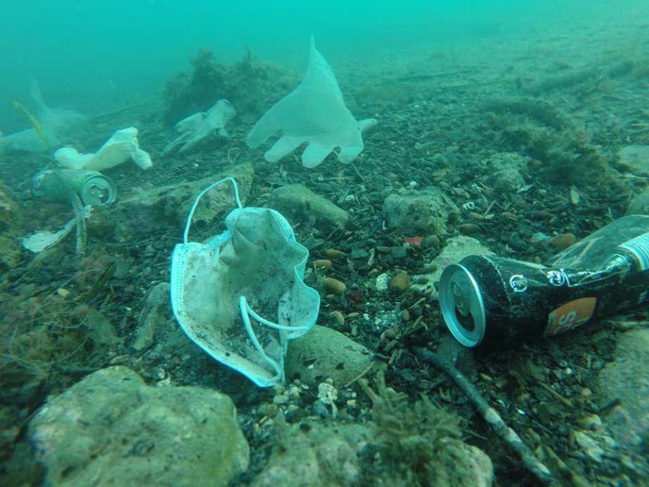 Masques et gants ont rejoint les déchets tristement habituels des fonds marins...