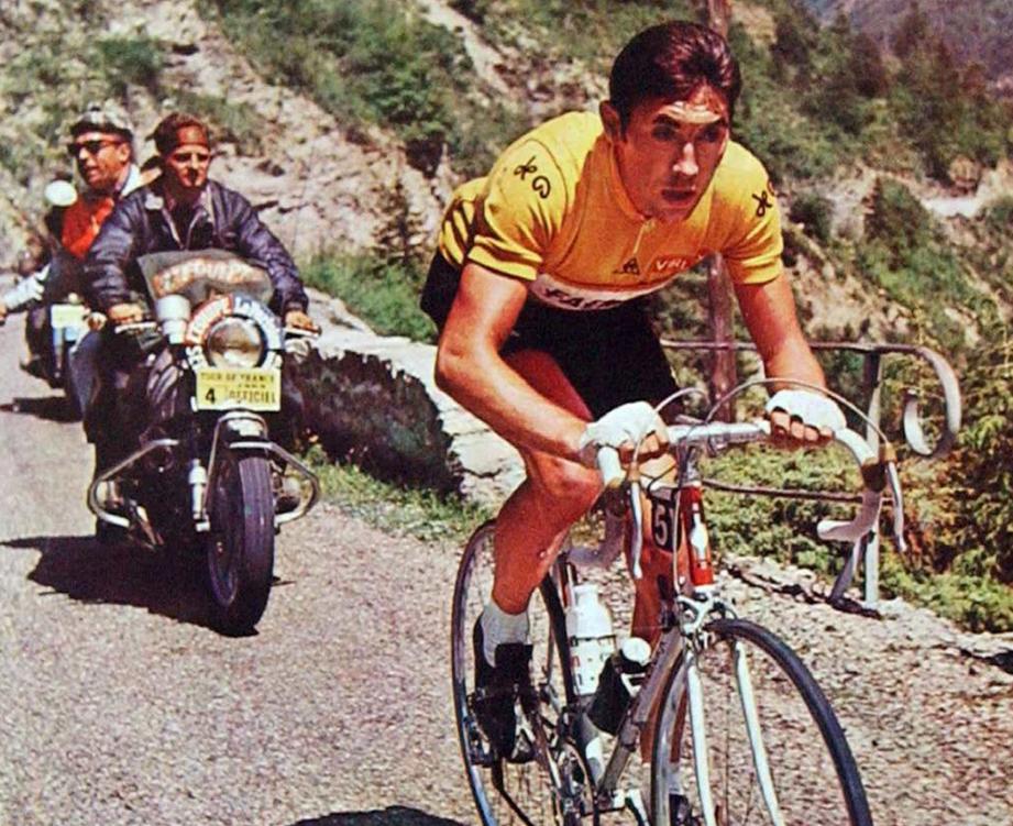 eddy merckx de rosa