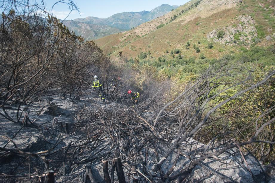 Download 36+ Incendie Antenne Relais Marseille