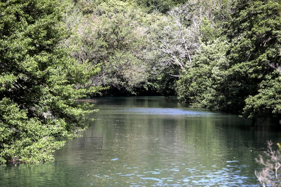 A plusieurs endroits de la Siagne, la baignade est interdite.