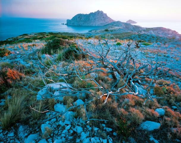 Illustration du parc national des calanques.