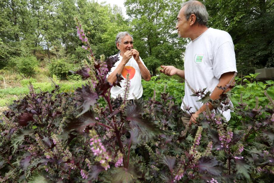 Au programme de 10 h 30 à 17 h, visite du jardin, dégustation, sensibilisation et présentation des structures locales.