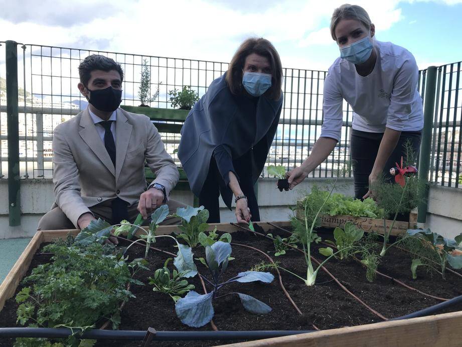 « En ce moment, nous avons des légumes d’hiver : des blettes, des choux, des épinards, du fenouil, du romarin et encore des potirons », égrène Jessica Sbaraglia.