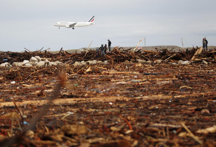 La crue du Var a charrié des tonnes de bois et de troncs d'arbres qui sont venus s'échouer sur la plage de Saint-Laurent-du-Var.