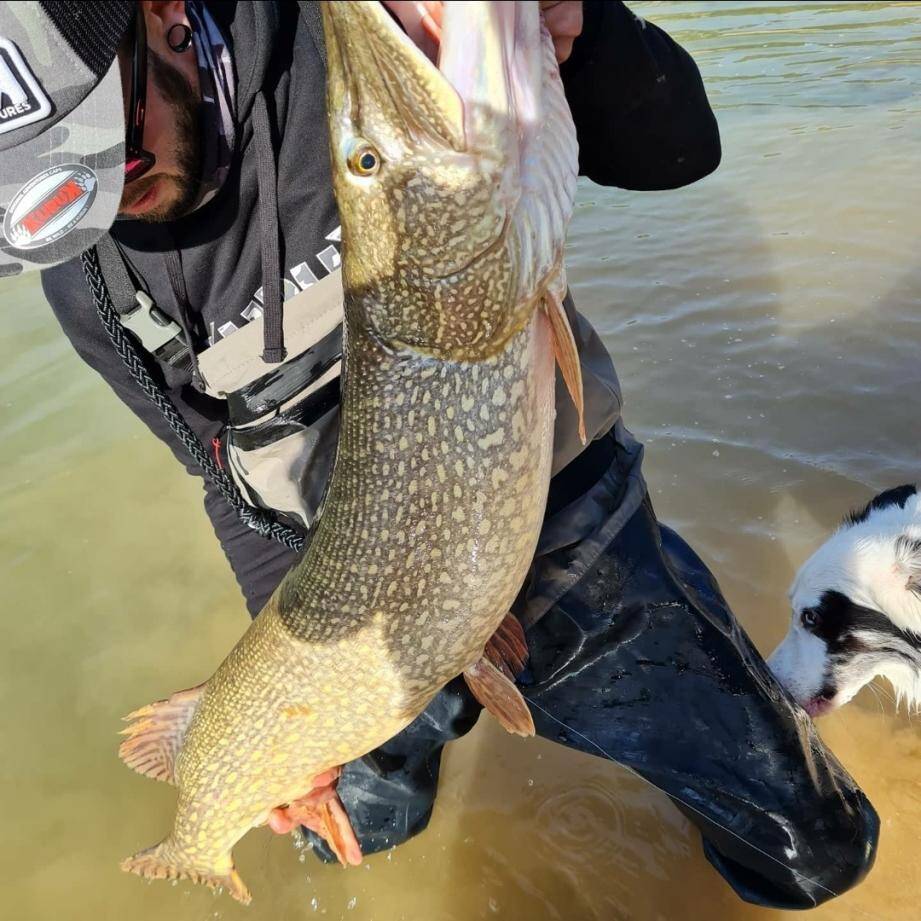 Avec cette magnifique prise, Simon Brisse pose devant l’objectif de son ami Florian Bénéjean. Une fois mesuré (117 cm), le brochet est relâché, dans la pure tradition de la pêche “no kill”.