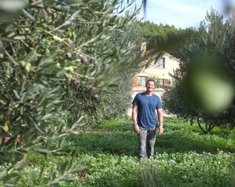Les Oliviers du Jardin, Entretenir son olivier