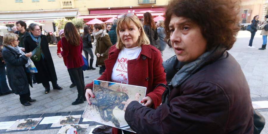 Chat Brule Vif Le Condamne Fait Appel Sa Famille Contre Attaque Nice Matin