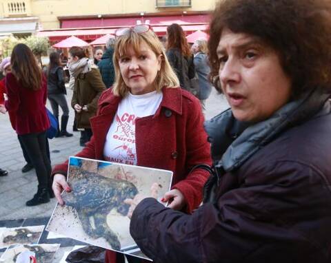 Chat Brule Vif Le Condamne Fait Appel Sa Famille Contre Attaque Nice Matin Chat Brule Vif Le Condamne Fait Appel Sa Famille Contre Attaque Nice Matin