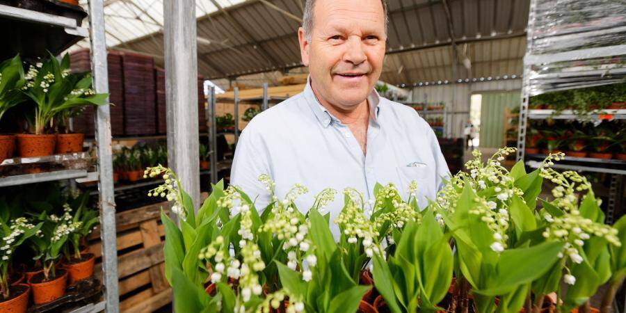 Ce producteur varois inonde toute la France de son muguet Monaco