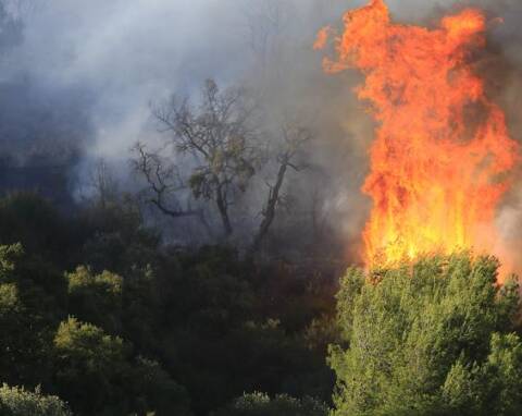Photos Un Incendie Menace Des Habitations A Hyeres Var Matin