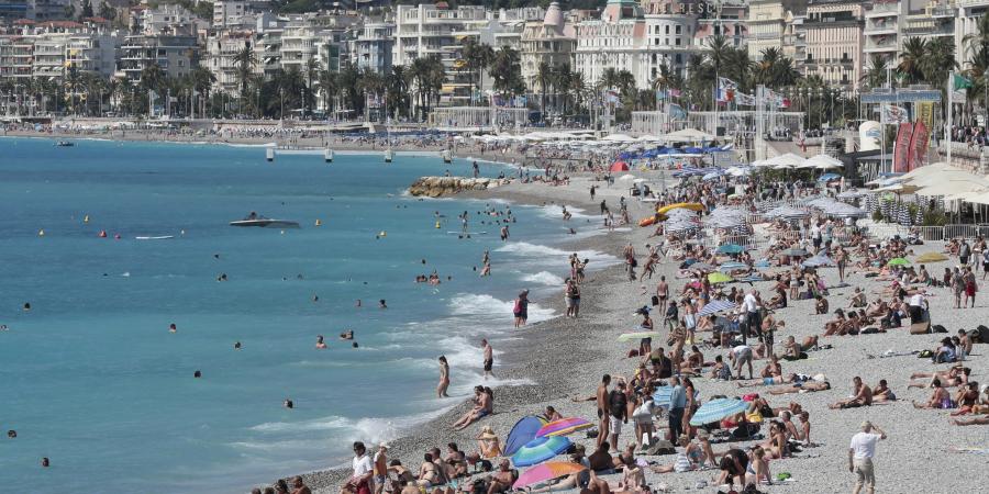 Temperature Et Qualite De L Eau Meduses Indice Uv Une Appli Pour Tout Savoir Avant D Aller A La Plage Nice Matin