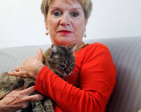 Mimine Le Chat Fugueur Retrouve Un An Apres Sur La Meme Aire D Autoroute Var Matin Mimine Le Chat Fugueur Retrouve Un An Apres Sur La Meme Aire D Autoroute Var Matin
