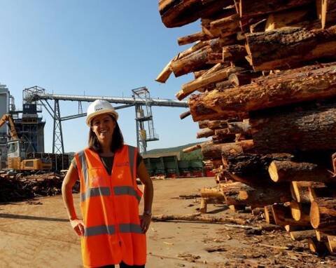 Brûlé, le bois conserve de la valeur économique Le prix du bois dépend de  plusieurs facteurs - Var-Matin