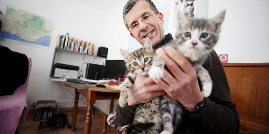 Grace Au Malheureux Chat Chevelu Un Nouvel Hebergement Pour Les Chats Errants Ouvrira A Draguignan Var Matin