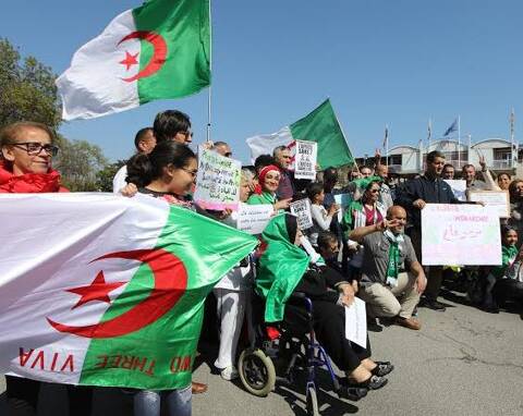 Drapeau Algérie - Acheter drapeaux algériens pas cher - Monsieur-des- Drapeaux