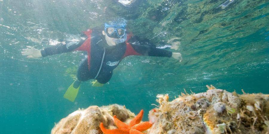 Plongée à Cavalaire-sur-Mer - Plongée sous-marine dans le Var