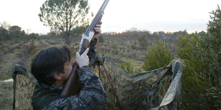 Chasse la saison s envole tire d aile Var Matin