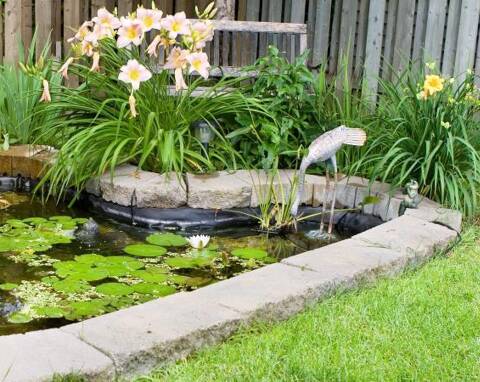 Comment choisir les plantes aquatiques pour un bassin de jardin?