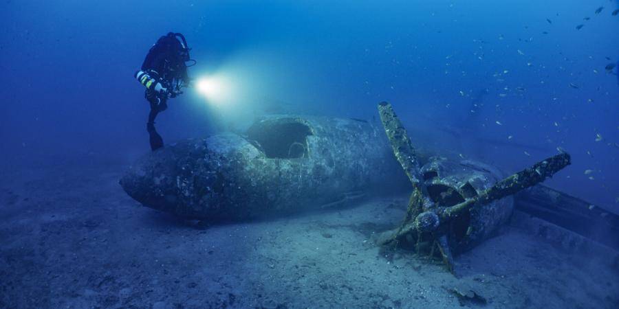 Un superbe documentaire sur les paves sous marines tourn au