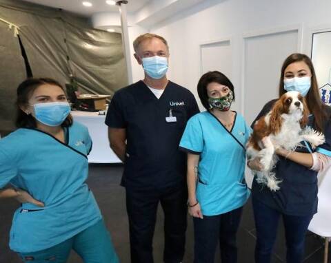 Scanner, taxis, laser L'offre de soins pour animaux s'étoffe à Nice avec  une nouvelle clinique vétérinaire - Nice-Matin